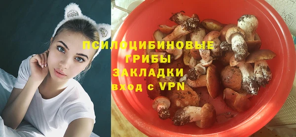 дживик Аркадак