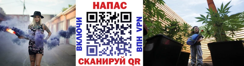 купить   Таруса  Конопля ГИДРОПОН 